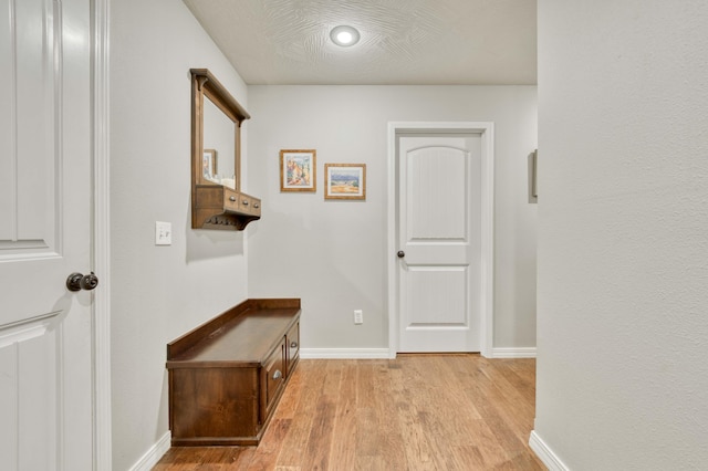 1251 S Rosemoor Dr, Nixa, MO 65714 - hall featuring light wood-type flooring