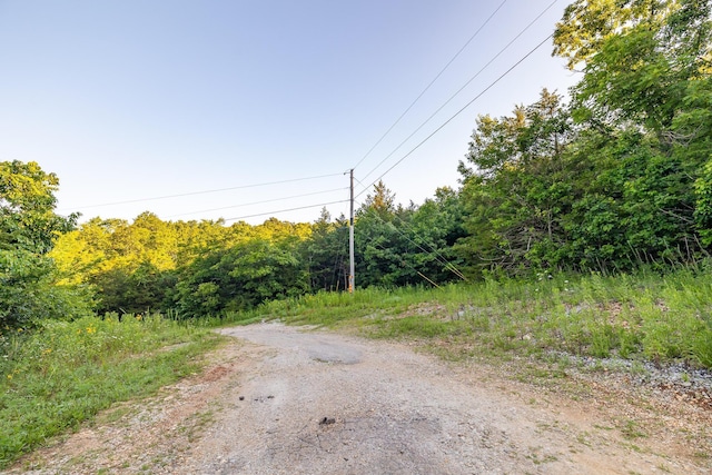 000 Farm Rd Unit 1190, Aurora, MO 65605 - photo 27