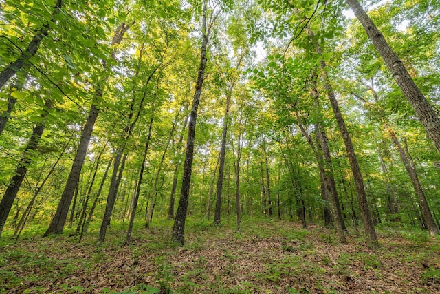 000 Farm Rd Unit 1190, Aurora, MO 65605 - photo 20