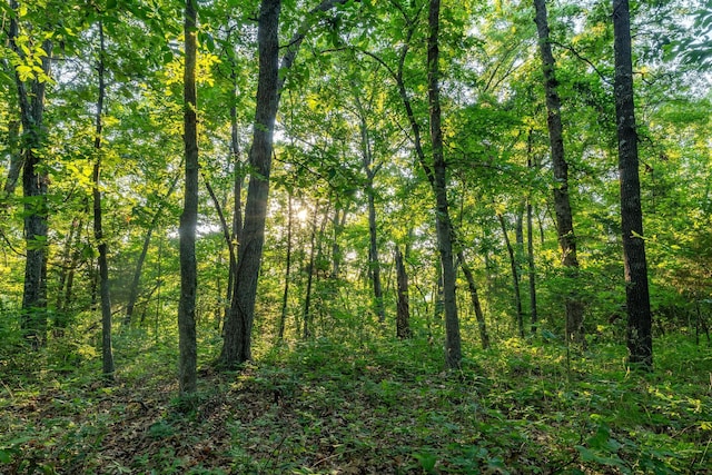 000 Farm Rd Unit 1190, Aurora, MO 65605 - photo 23
