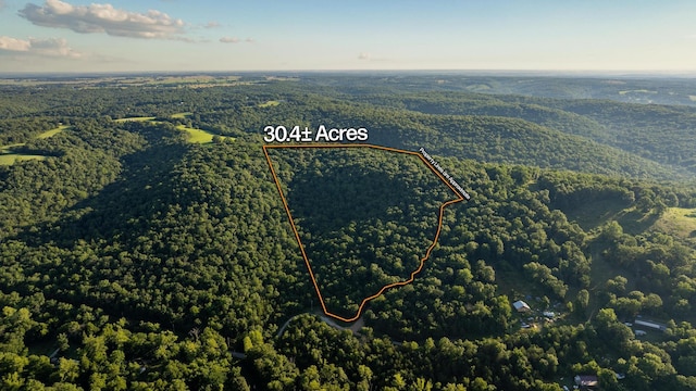000 Farm Rd Unit 1190, Aurora, MO 65605 - photo 1