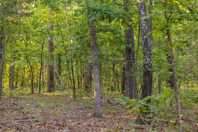 000 Farm Rd Unit 1190, Aurora, MO 65605 - photo 29