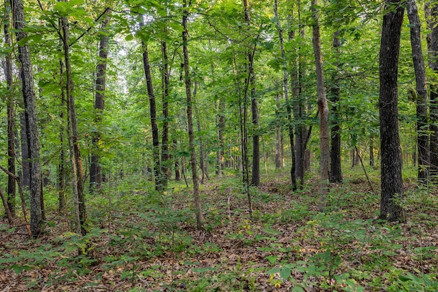 000 Farm Rd Unit 1190, Aurora, MO 65605 - photo 17