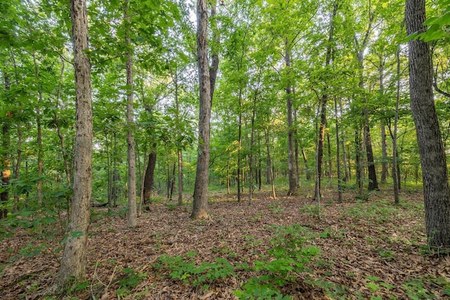 000 Farm Rd Unit 1190, Aurora, MO 65605 - photo 18