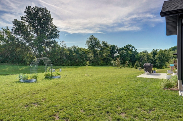 816 S Rockburn Ct, Nixa, MO 65714 - view of green lawn with a patio and a vegetable garden