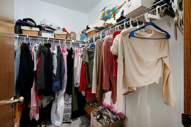 431 S Yellowwood Dr, Springfield, MO 65809 - view of walk in closet