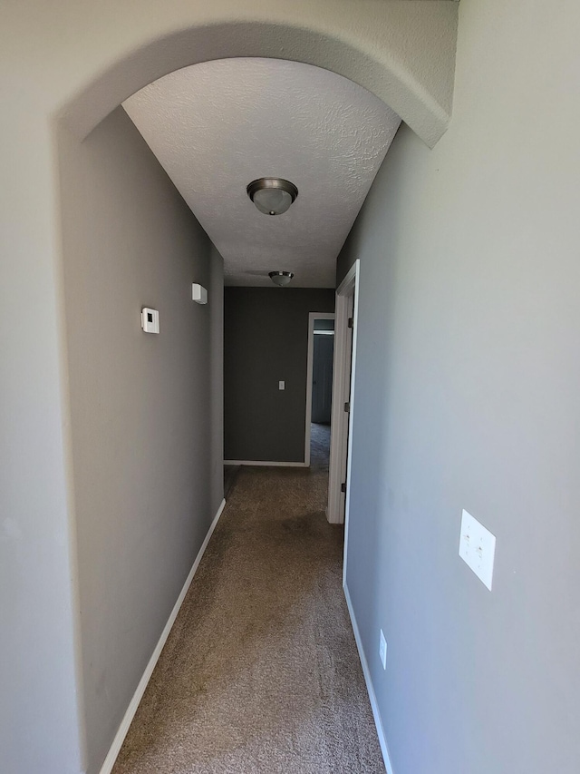 100 Hawthorn Ave, Rogersville, MO 65742 - hall with carpet floors and a textured ceiling
