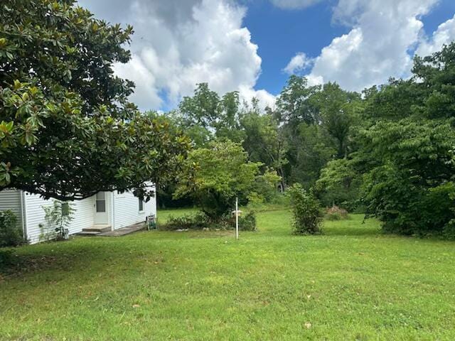 547 S Main, Granby, MO 64844 - photo 19