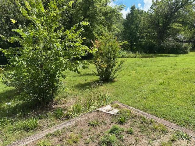 547 S Main, Granby, MO 64844 - photo 17