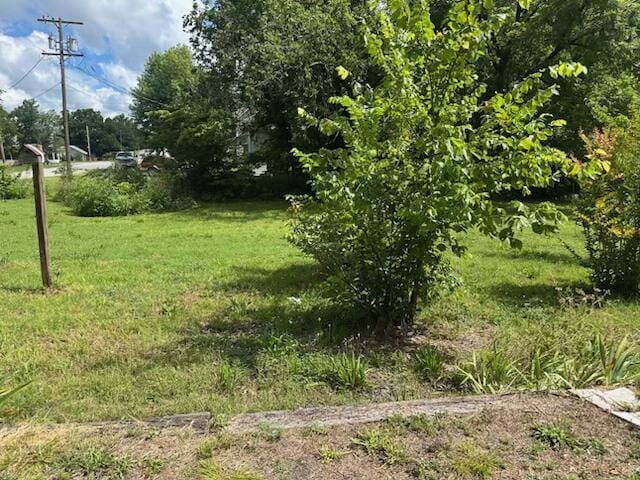 547 S Main, Granby, MO 64844 - photo 18
