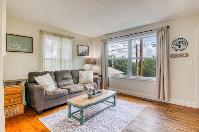 135 Roark Ave, Branson, MO 65616 - living room featuring light wood-style floors and plenty of natural light