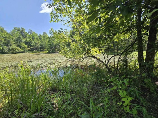 000 Harlow Rd, Mountain View, MO 65548 - photo 2