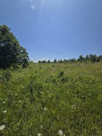 000 Harlow Rd, Mountain View, MO 65548 - photo 8