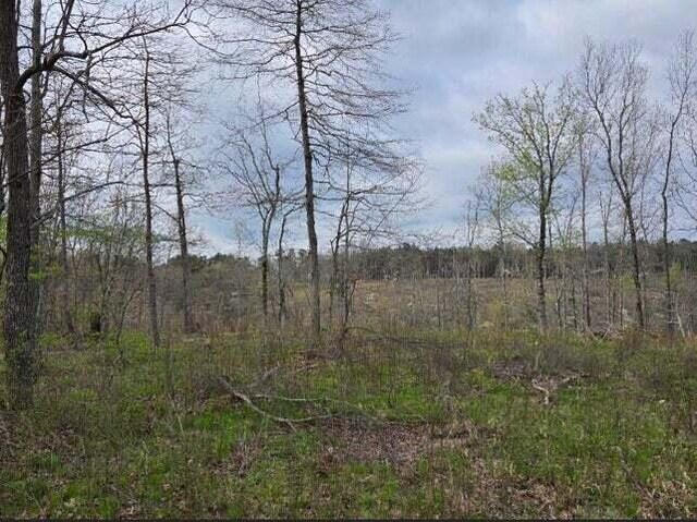 000 Harlow Rd, Mountain View, MO 65548 - photo 15