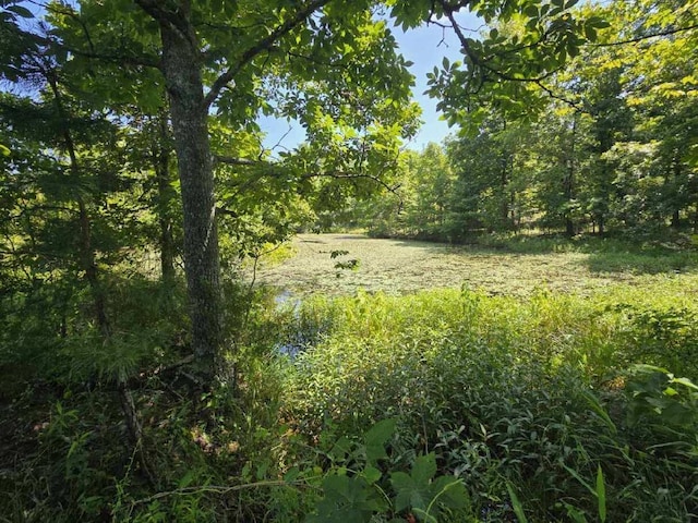 000 Harlow Rd, Mountain View, MO 65548 - photo 21