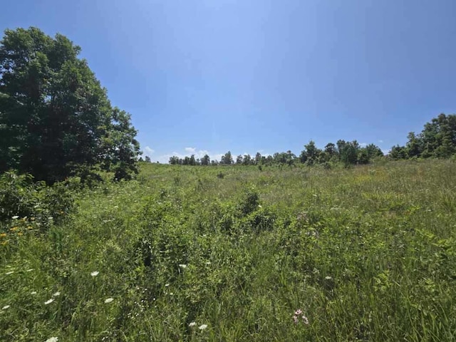 000 Harlow Rd, Mountain View, MO 65548 - photo 7