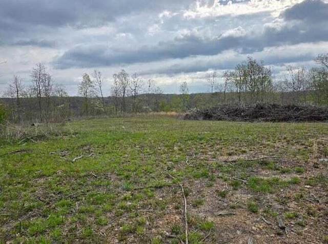 000 Harlow Rd, Mountain View, MO 65548 - photo 11