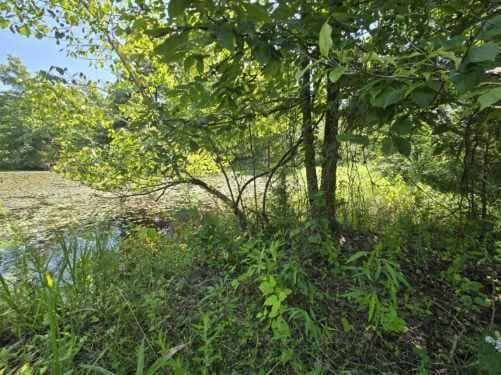 000 Harlow Rd, Mountain View, MO 65548 - photo 9