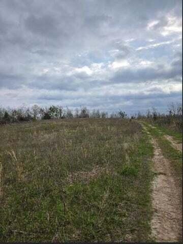 000 Harlow Rd, Mountain View, MO 65548 - photo 18