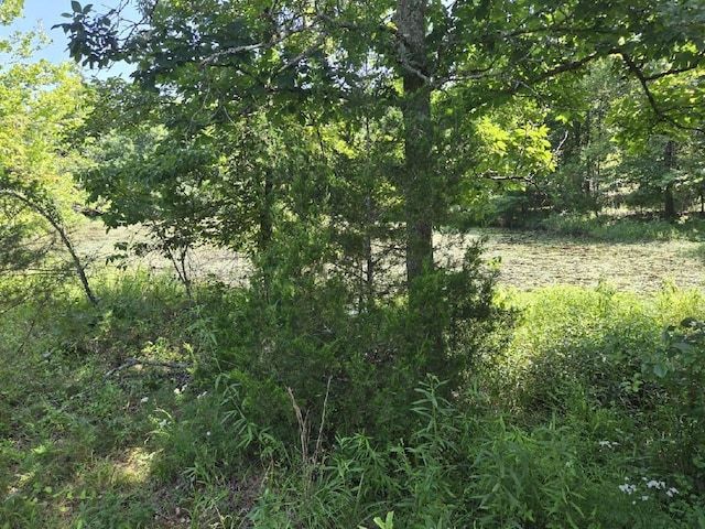 000 Harlow Rd, Mountain View, MO 65548 - photo 20