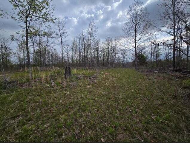 000 Harlow Rd, Mountain View, MO 65548 - photo 16