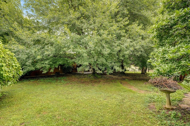 667 S Broadview Dr, Springfield, MO 65809 - view of grassy yard