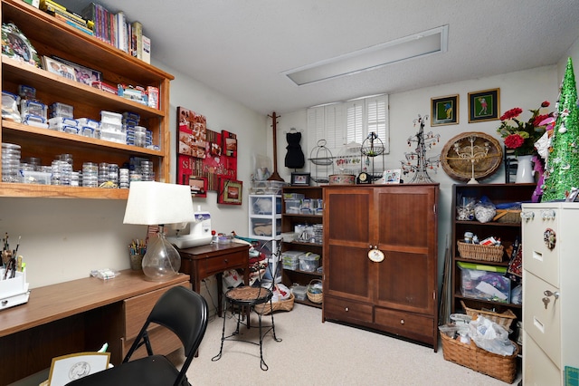 667 S Broadview Dr, Springfield, MO 65809 - carpeted office space with attic access