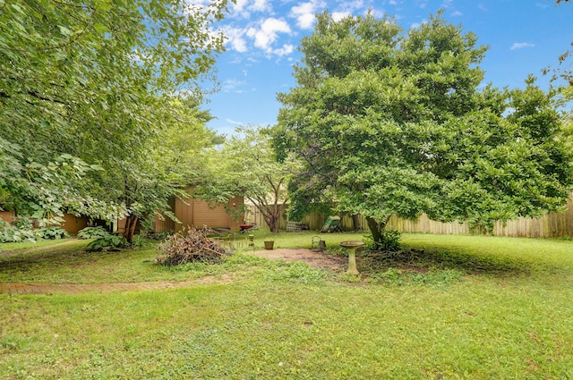 667 S Broadview Dr, Springfield, MO 65809 - view of yard