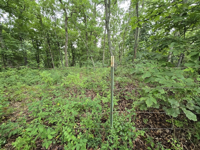 Tbd County Road 481w, Cross Timbers, MO 65634 - photo 4