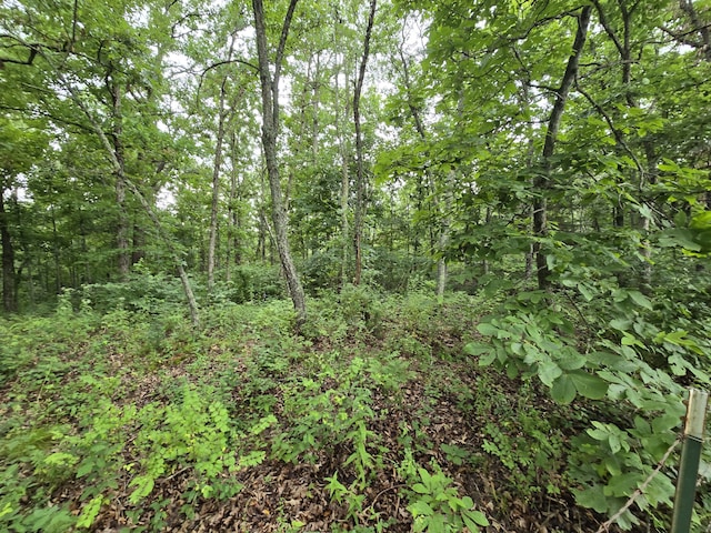 Tbd County Road 481w, Cross Timbers, MO 65634 - photo 5