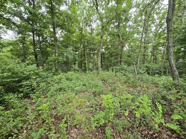 Tbd County Road 481w, Cross Timbers, MO 65634 - photo 6