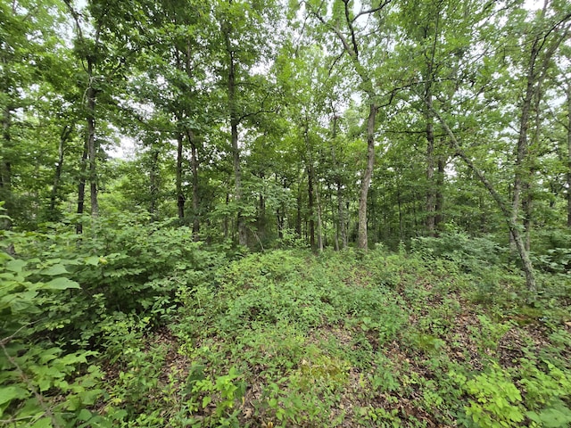 Tbd County Road 481w, Cross Timbers, MO 65634 - photo 1