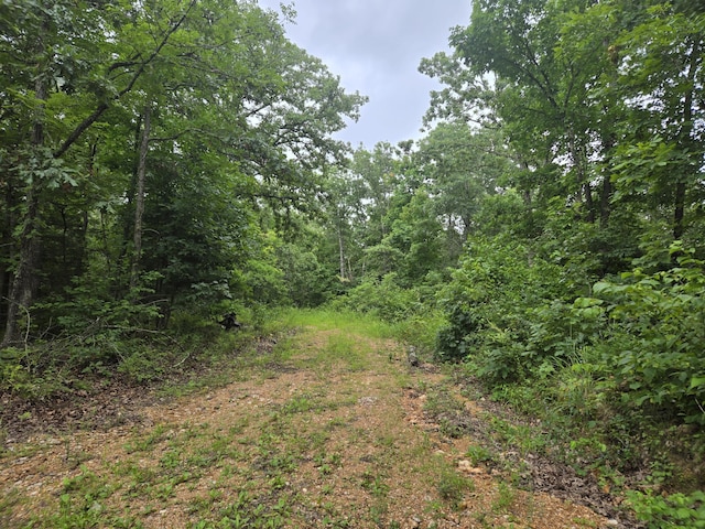 Tbd County Road 481w, Cross Timbers, MO 65634 - photo 2