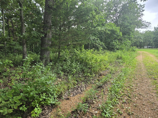 Tbd County Road 481w, Cross Timbers, MO 65634 - photo 3
