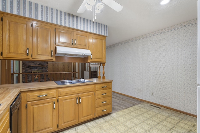 848 W Mel O Ct, Springfield, MO 65807 - photo 15