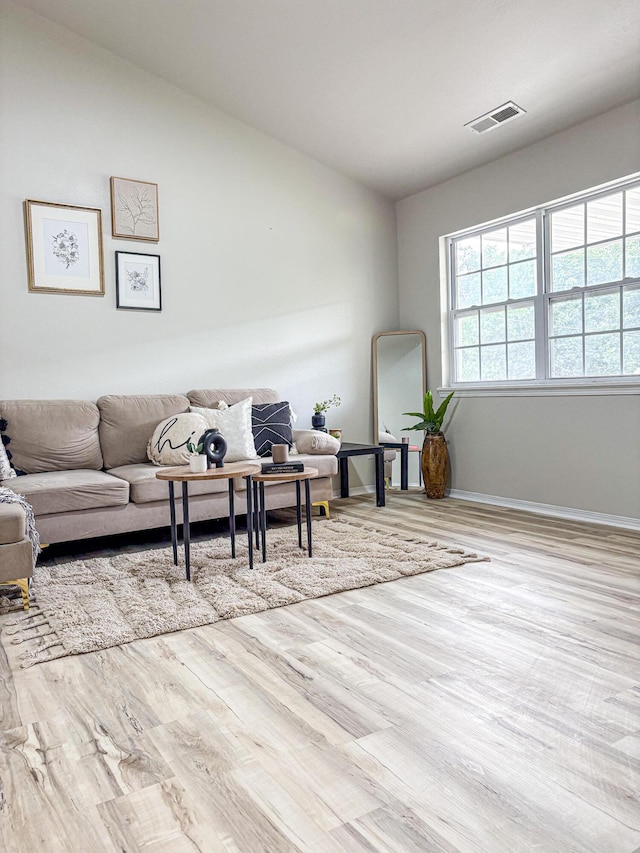 905 NW Blvd, Neosho, MO 64850 - living room with wood finished floors and lofted ceiling