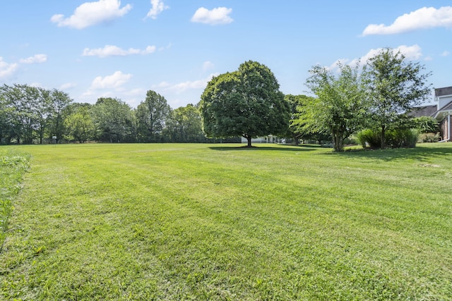 4671 E Beaux Creek Ln, Springfield, MO 65809 - photo 50