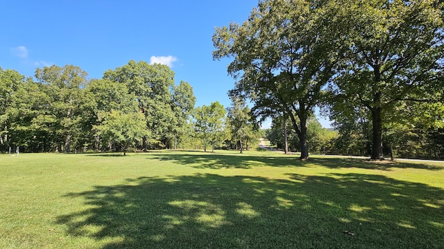 5143 State Highway 95, Drury, MO 65638 - view of green lawn