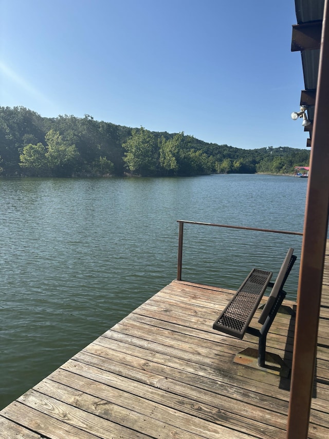 398 Hunt Club Cir, Galena, MO 65656 - photo 25