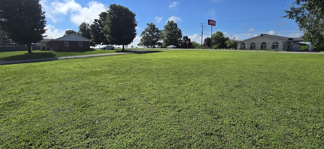 1413 W Dallas St, Buffalo, MO 65622 - photo 24