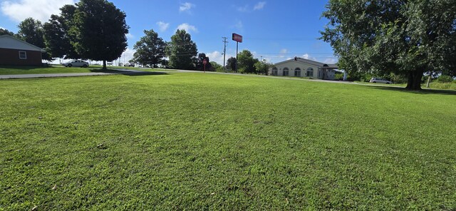 1413 W Dallas St, Buffalo, MO 65622 - photo 25