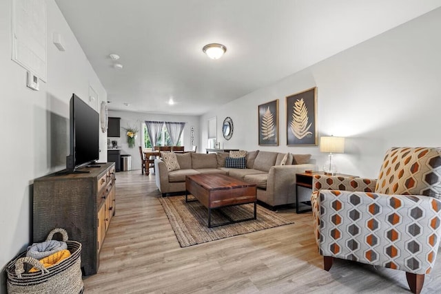 310 W College St, Branson, MO 65616 - living area with light wood-style floors