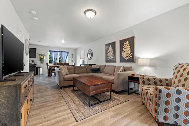 310 W College St, Branson, MO 65616 - living area with light wood finished floors