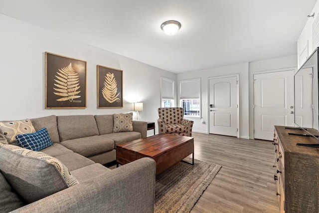 310 W College St, Branson, MO 65616 - living area with light wood-style flooring