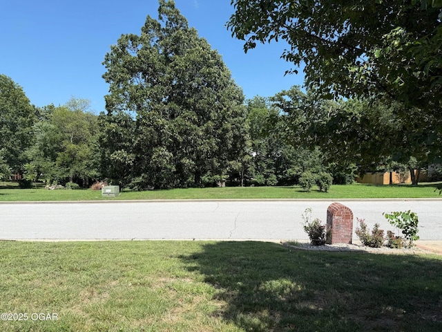 318 Fox Fire Ct, Joplin, MO 64801 - view of grassy yard
