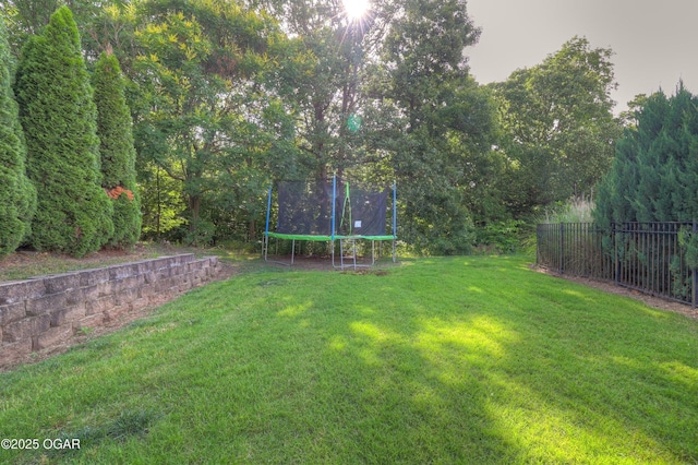 318 Fox Fire Ct, Joplin, MO 64801 - view of yard featuring a trampoline