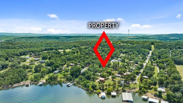 21914 M-14, Cassville, MO 65625 - photo 4