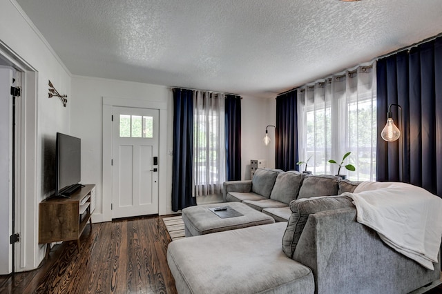 1508 S Moffet Ave, Joplin, MO 64804 - living room with a textured ceiling and dark wood-style flooring