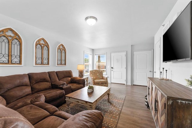 302 W College St, Branson, MO 65616 - living room with wood finished floors