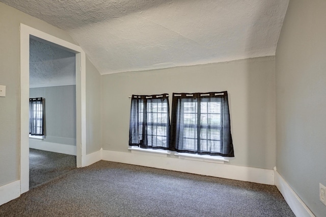 1027 S Orner St, Carthage, MO 64836 - unfurnished room featuring a textured ceiling, carpet floors, and lofted ceiling